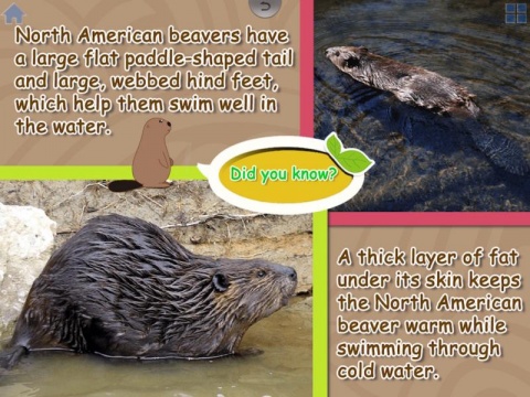 True4Kids MagicPen Pink