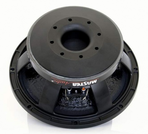 LSN12/4 Master Audio reproduktor