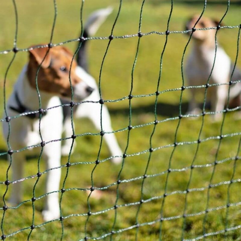 Elektrická ohradníková síť pro psy, králíky a kočky, výška 65 cm, délka 50 m, 1 hrot