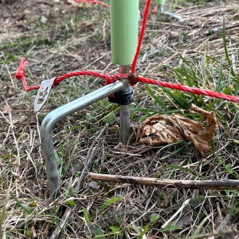 Síť pro elektrický ohradník proti vlkům, výška 120 cm, délka 50 m, dvojitý hrot