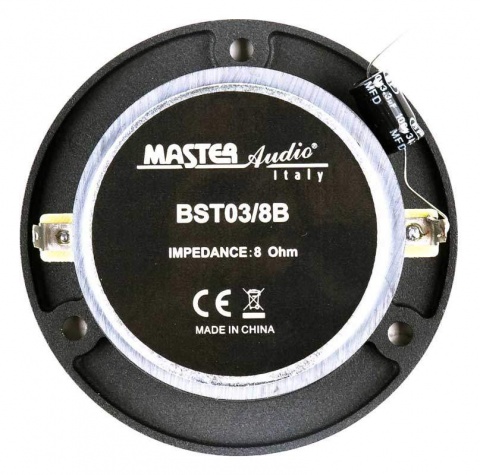 BST03/8B Master Audio reproduktor