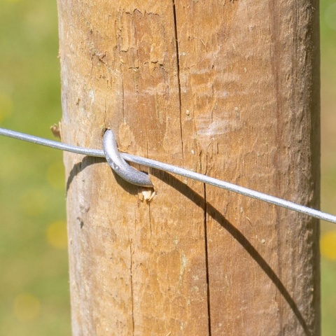 Farmářské pozinkované skoby 3,1 × 31 mm - 1 kg, cca 290 ks