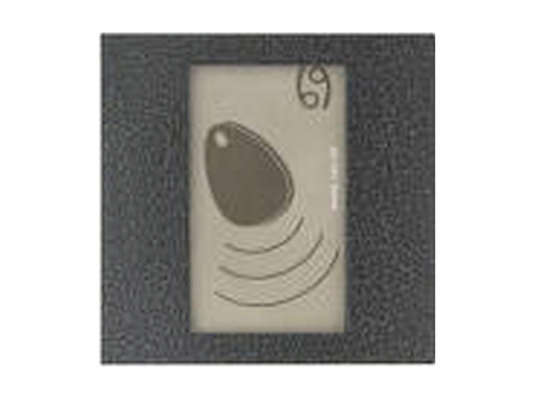 4FN 231 25.2/M - RAK BES KARAT čtečka RFID, bez Z, s OPJ, USB, stříbr.