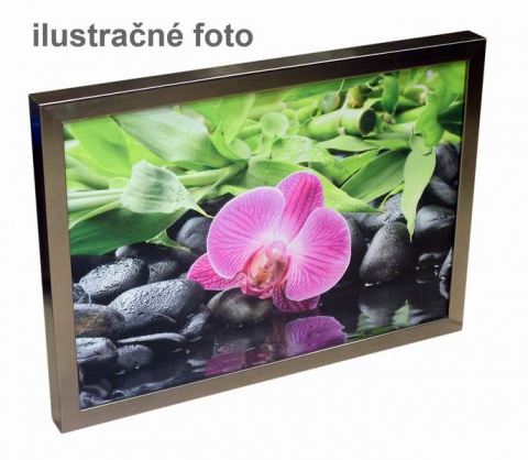 BX65S BS Acoustic reproduktor