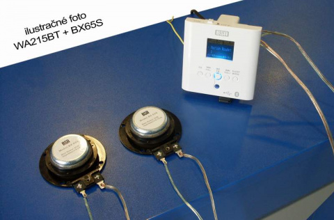 BX65S BS Acoustic reproduktor