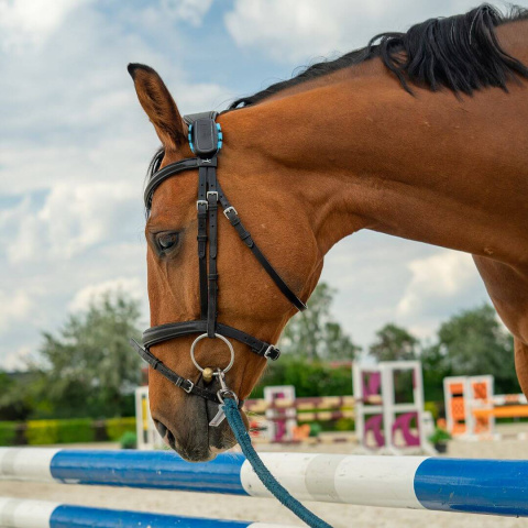 Chytrý lokátor pro koně fencee EquiGPS Track - Mentolová