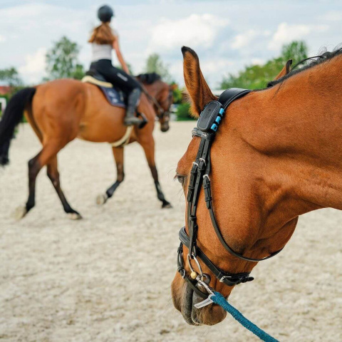 Chytrý lokátor pro koně fencee EquiGPS Track, mentolový