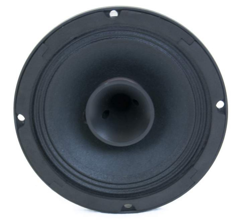 CSX06 Master Audio reproduktor