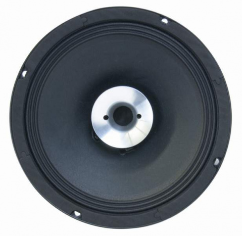 CSX10 Master Audio reproduktor