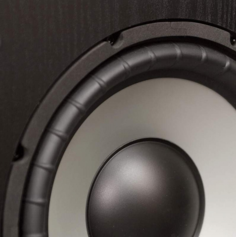 ESW-C10 ENERGY subwoofer
