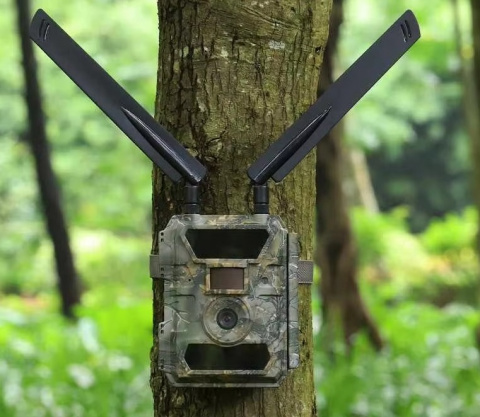 Fotopast OXE Panther 4G a kovový box + 32 GB SD karta, SIM karta, 12 ks baterií a doprava ZDARMA!