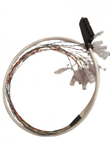 Kabel s konektorem AMP (Centronics) F 50 pinů/ RJ45 s očíslovanými porty (16 párů) - 3m