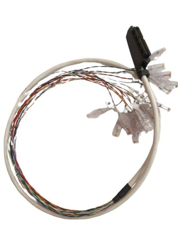 Kabel s konektorem AMP (Centronics) F 50 pinů/ RJ45 s očíslovanými porty (16 párů) - 1,5 m