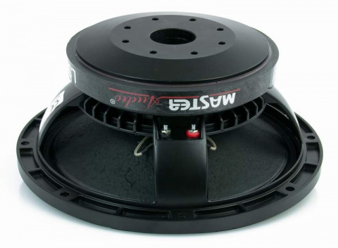 LSN10/8 Master Audio reproduktor