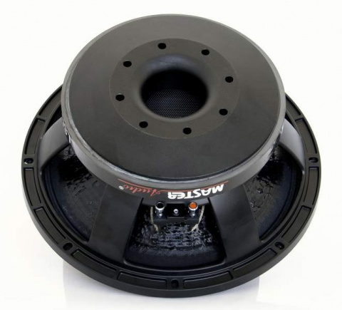 LSN12/8 Master Audio reproduktor