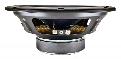 MA20W/8 Master Audio reproduktor