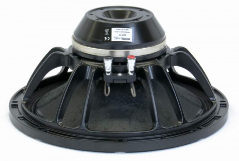 NST12 Master Audio reproduktor
