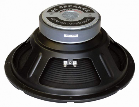 PA12/4 Master Audio reproduktor