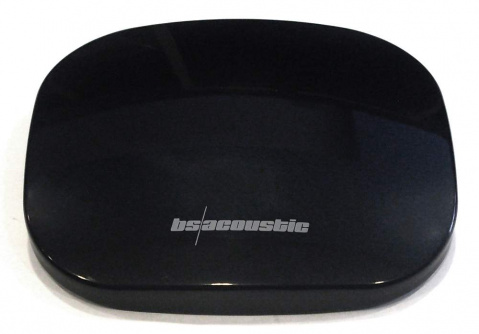 PAA50R SET1 BSA Zesilovač a streamer