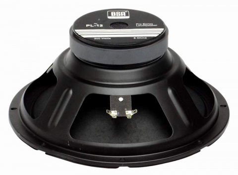 PL12 BS ACOUSTIC reproduktor