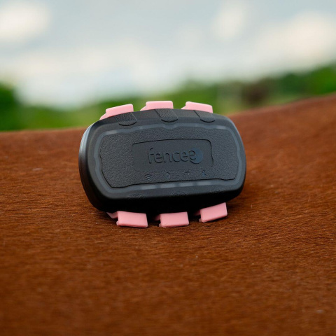 Růžová fixační spona pro lokátor na koně fencee EquiGPS Track - 3 ks