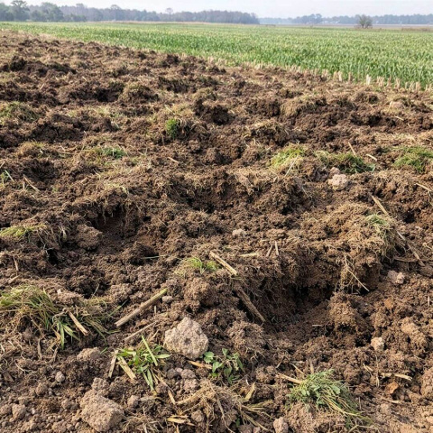 Sada STOP divočákům - proti rytí černé zvěře až 2,4 km, 1 ks PU pěny + 1 ks koncentrátu