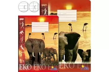 Sešit A4 424 Notes Eko, linkovaný, 20 listů