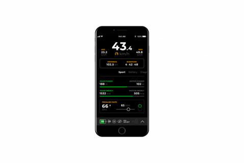 SpeedBox 3.3 B.Tuning pro Yamaha (PW-X3, PW-S2, PW-XM)