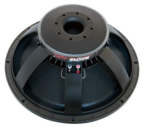 VYP313 LSN18/8 Master Audio reproduktor