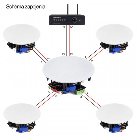 WA250 SET10 BS ACOUSTIC
