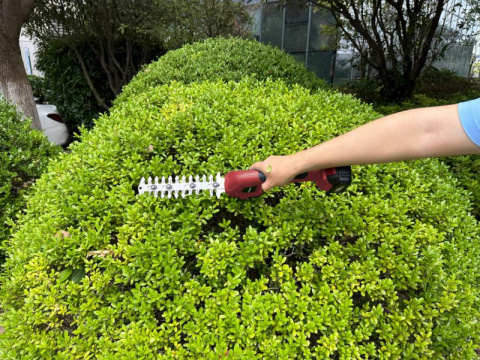 WORCRAFT Aku nůžky na trávu 2v1 20V CGS-S20LiC (bez baterie a nabíječky)