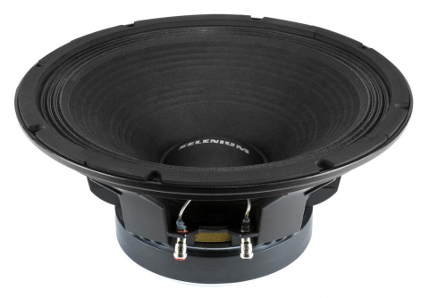 WPU1505 JBL Selenium reproduktor