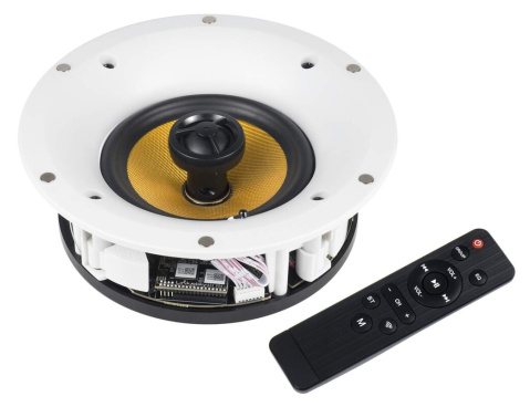 WS560WF BS ACOUSTIC