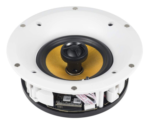 WS560WF BS ACOUSTIC