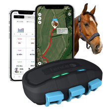 Chytrý lokátor pro koně fencee EquiGPS Track