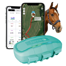 Chytrý lokátor pro koně fencee EquiGPS Track, mentolový