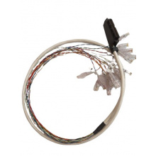 Kabel s konektorem AMP (Centronics) F 50 pinů/ RJ45 s očíslovanými porty (16 párů) - 3m