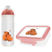 set R&B box a lahev Kapybary 700ml
